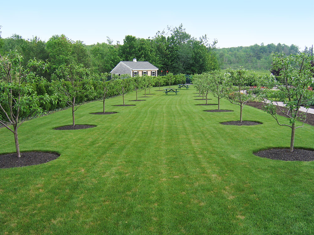 The Pineland Farms Garden